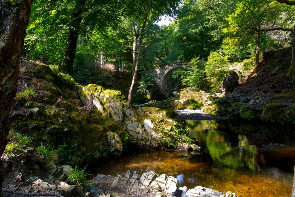 Tollymore Forset, Co. Down