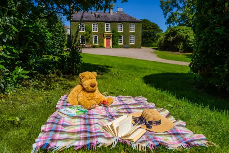 Picnic blanket in front of house with Teddy bear, sun hat and book