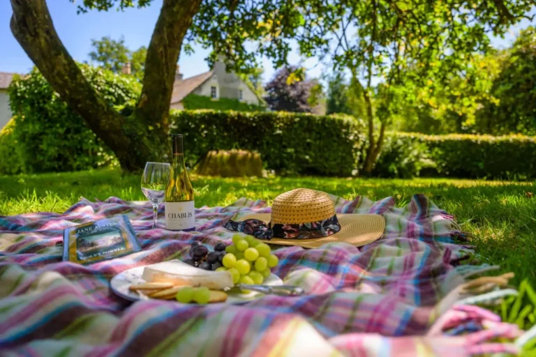 Picnic blanket with bottle of wine and cheese and grapes